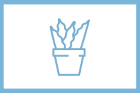 Wat kan je doen met 2M2 groen?